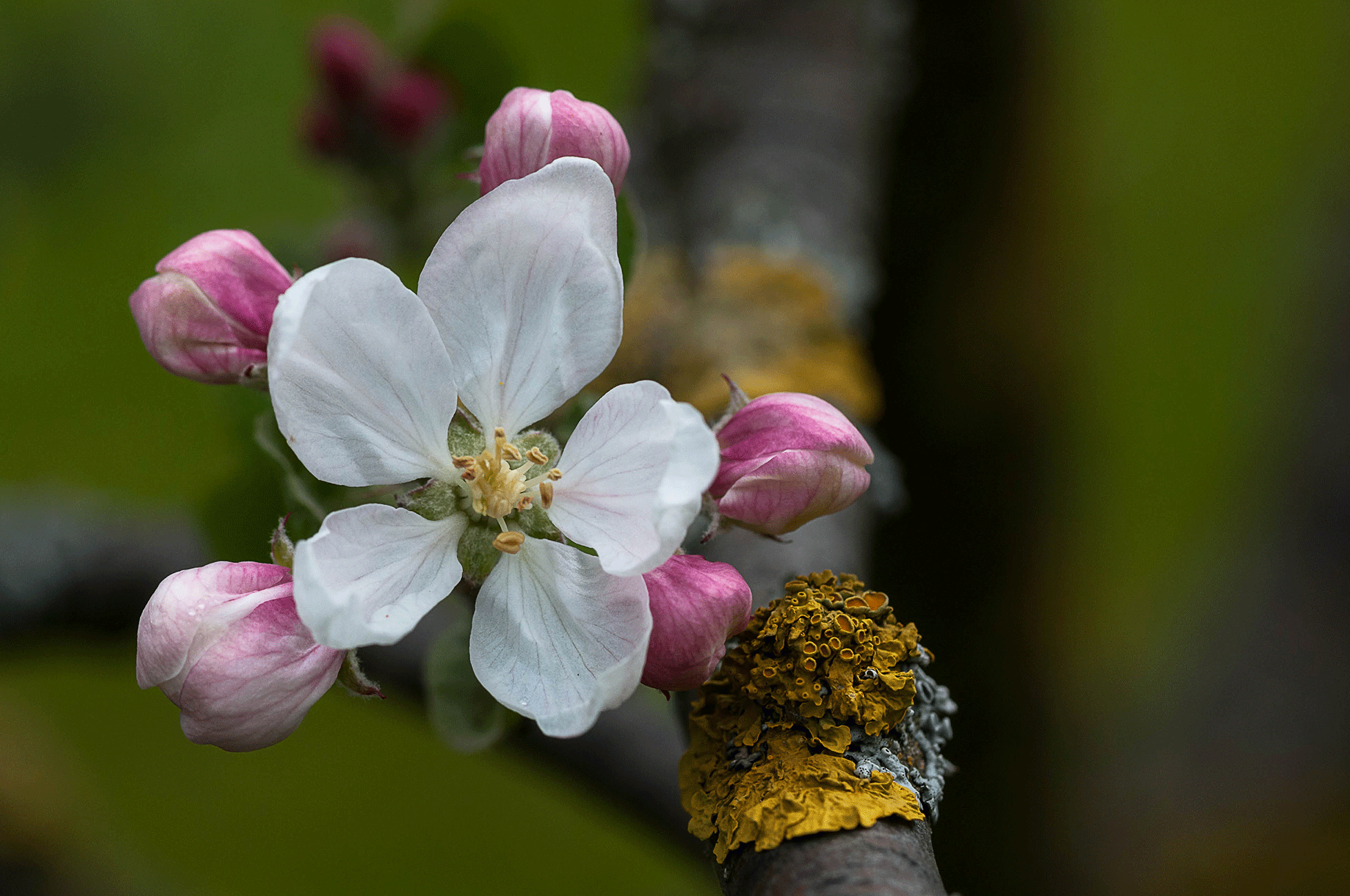 Seelen-Reise.ch wünscht Ihnen frohe Ostern 2015