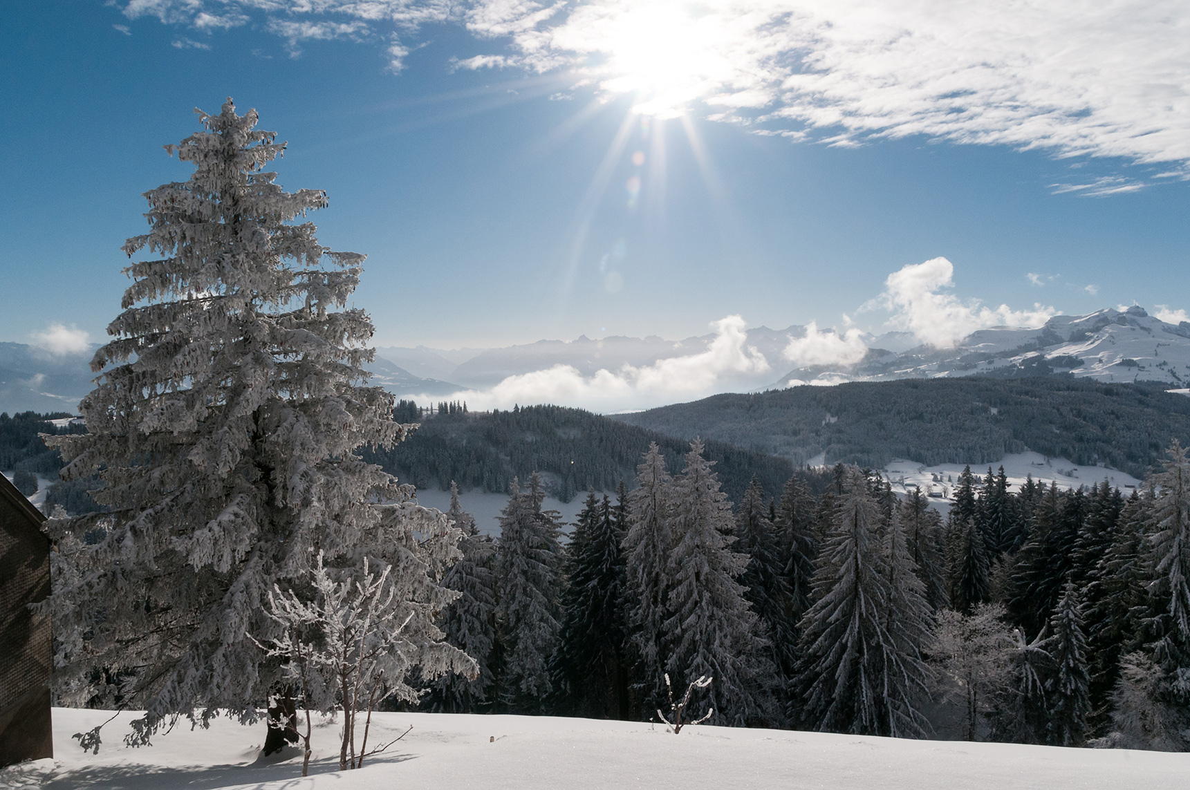 GuetsNeus2016©seelen-reise.ch Reinkarnationstherapie